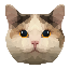 Adrian Marton's avatar